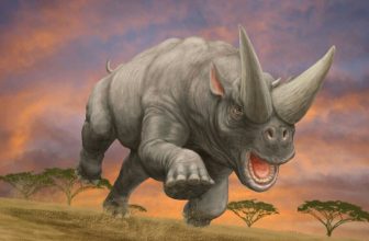 Would animals from the Paleogene and Neogene periods have survived on Earth today?
