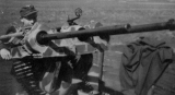 From the Skies to the Ground: German Anti-Aircraft Guns from World War II