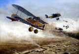 The Kaiser's Flying Tanks: Albatros J.I. Armored Attack Aircraft, Germany