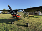 Cessna Bird Dog: A Small Plane That Guided Bombers