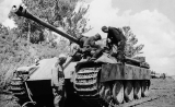 Yuri Pasholok. German Medium Tank (conditional designation)
